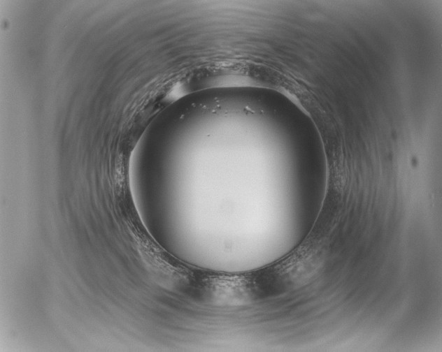 X0000056360085200508261348