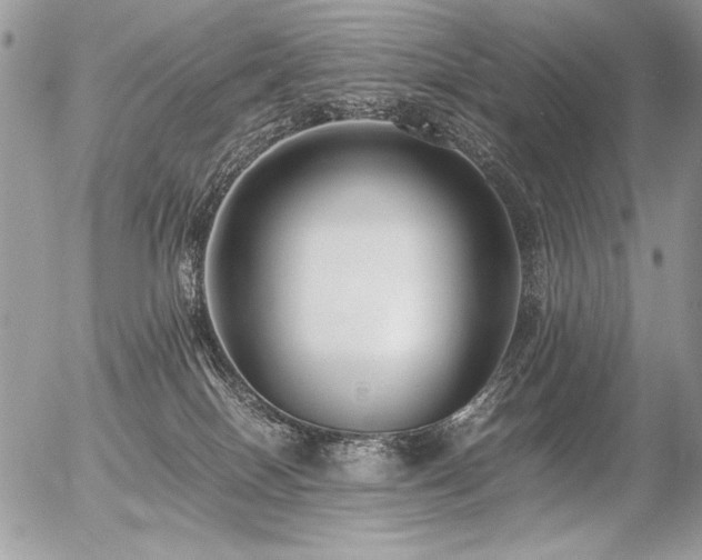 X0000056360086200508261348