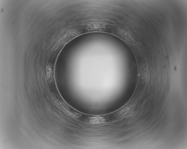 X0000056360087200508261348