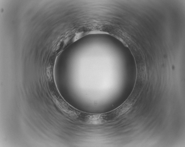 X0000056360088200508261348