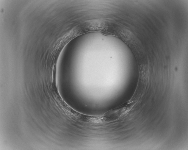 X0000056360089200508261348