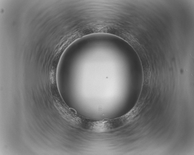 X0000056360090200508261348