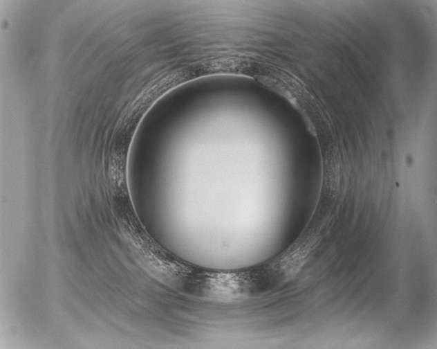 X0000056360091200508261348