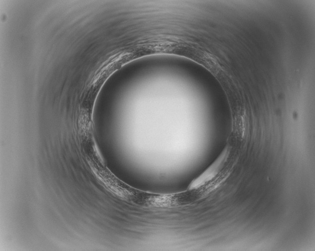 X0000056360092200508261348