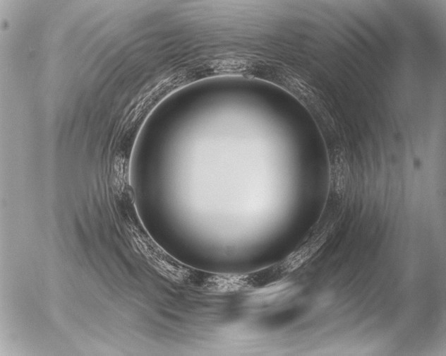 X0000056360093200508261348