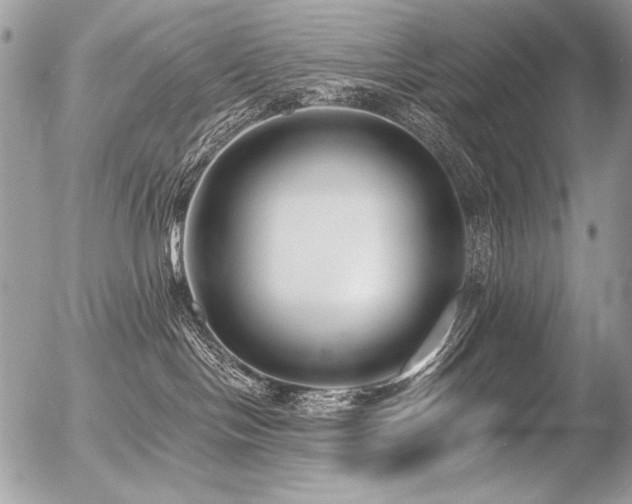 X0000056360094200508261348