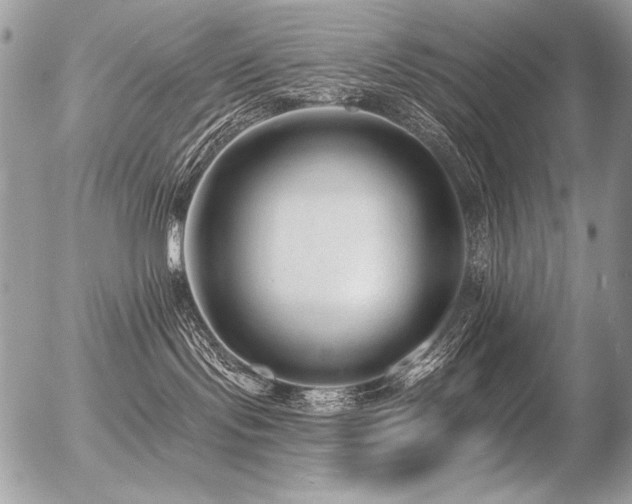 X0000056360095200508261348