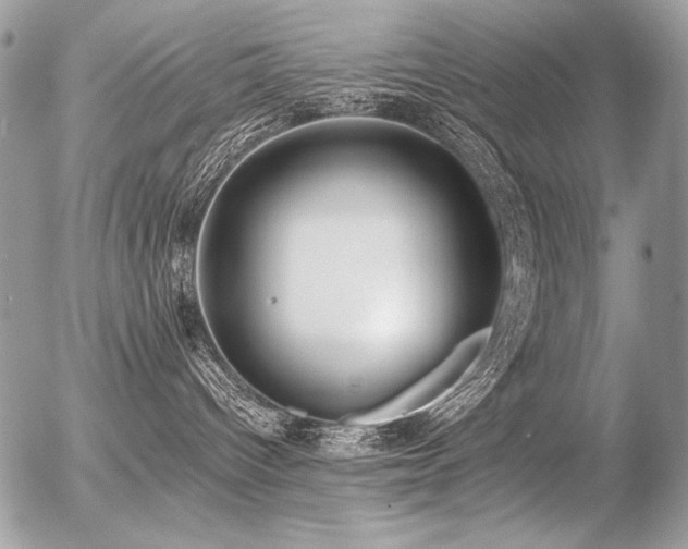 X0000056360096200508261348