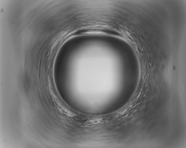 X0000056360097200508261347