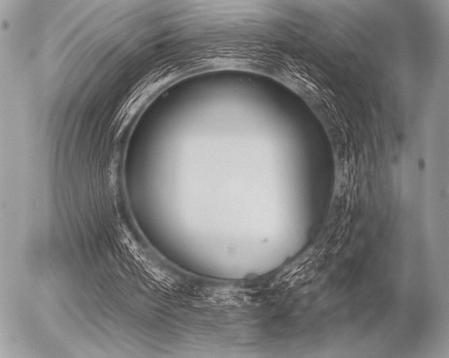 X0000056360098200508261347