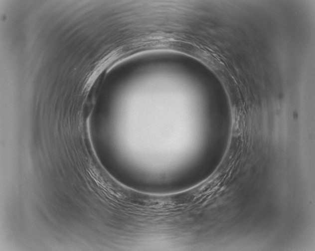 X0000056360099200508261347