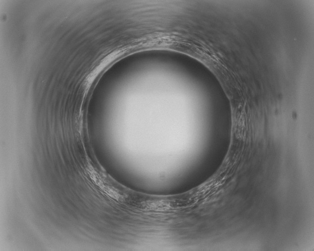 X0000056360100200508261347