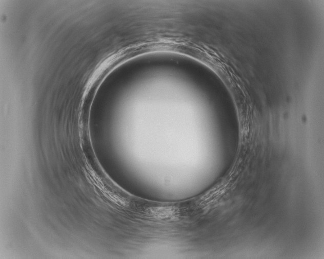 X0000056360102200508261347