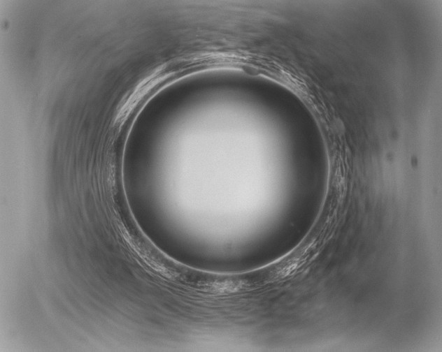 X0000056360103200508261347