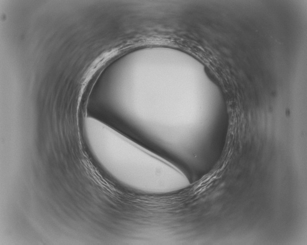 X0000056360104200508261347