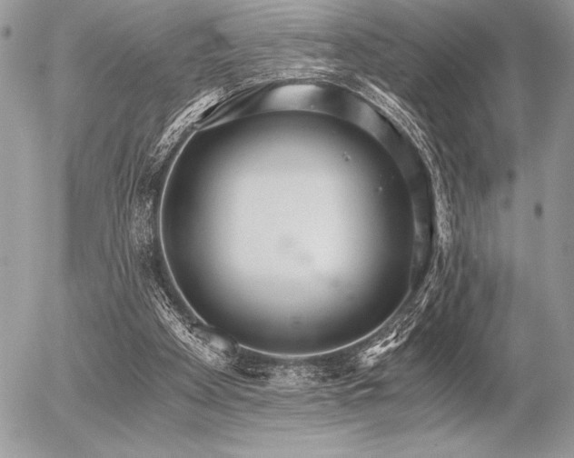 X0000056360105200508261347