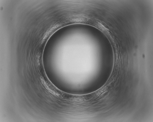 X0000056360106200508261347