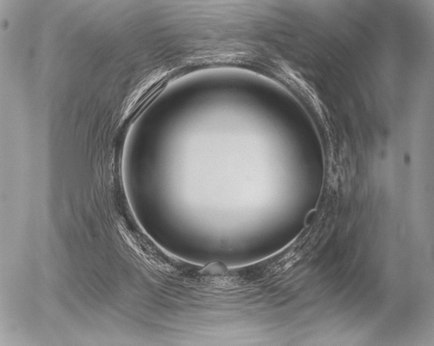 X0000056360107200508261347