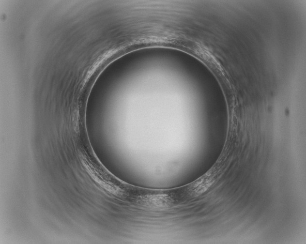 X0000056360108200508261347