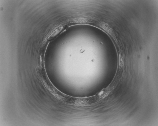 X0000056360109200508261347