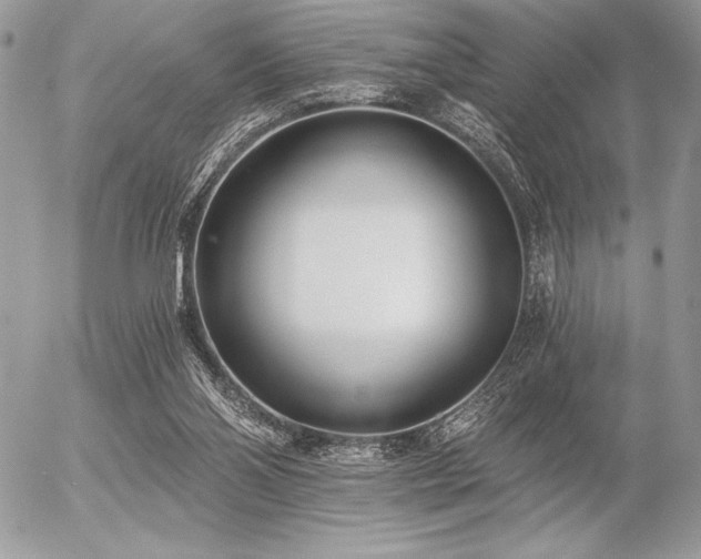 X0000056360110200508261347