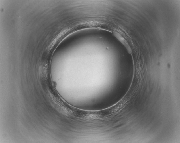 X0000056360111200508261347