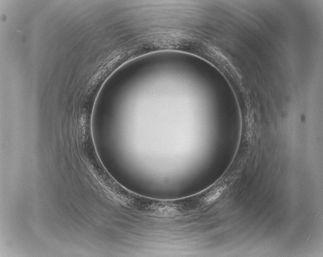 X0000056360113200508261347