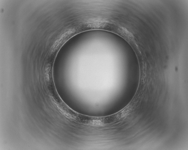 X0000056360114200508261347