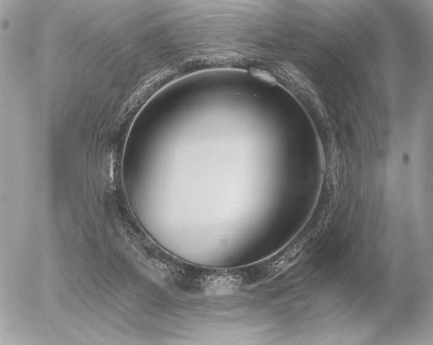 X0000056360115200508261347