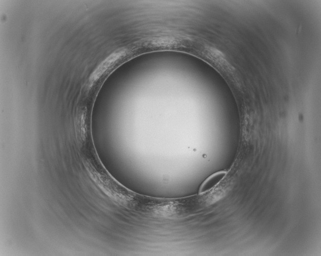 X0000056360116200508261347