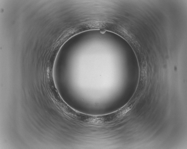 X0000056360117200508261347