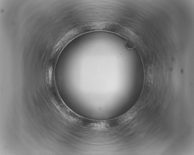 X0000056360118200508261347