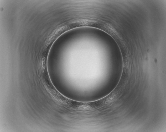 X0000056360119200508261347