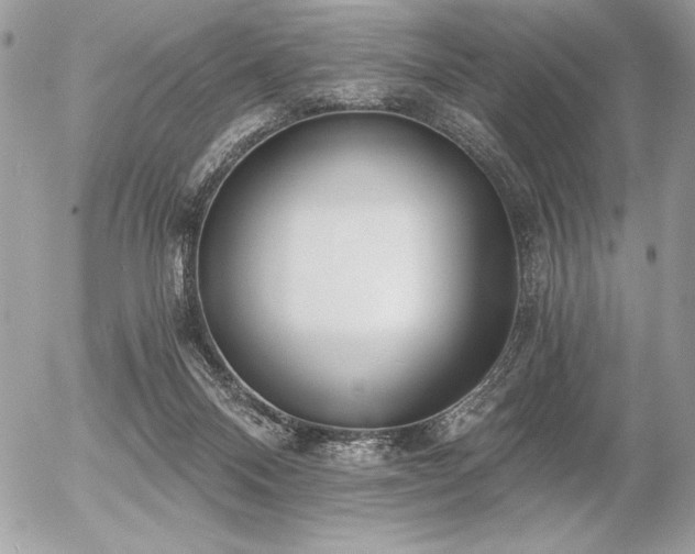 X0000056360120200508261347