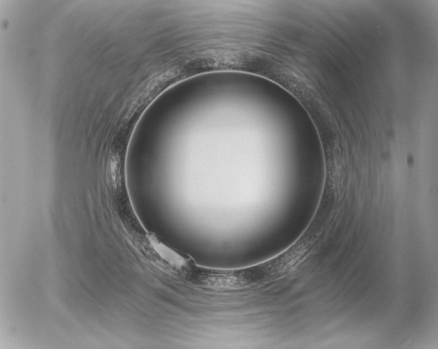 X0000056360123200508261347