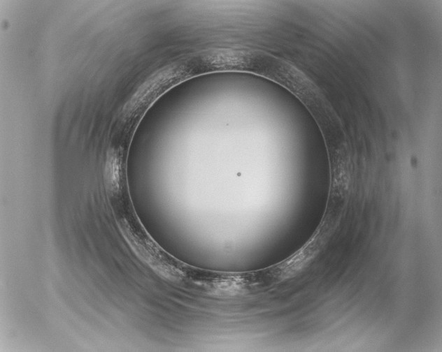 X0000056360124200508261347