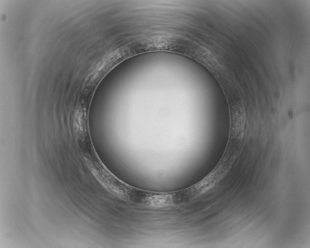 X0000056360126200508261347