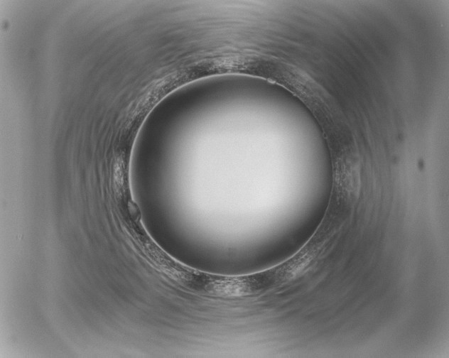 X0000056360127200508261347