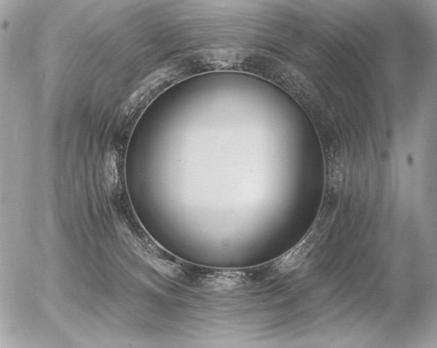 X0000056360128200508261347