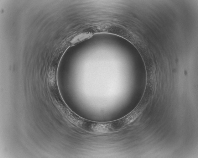 X0000056360129200508261347