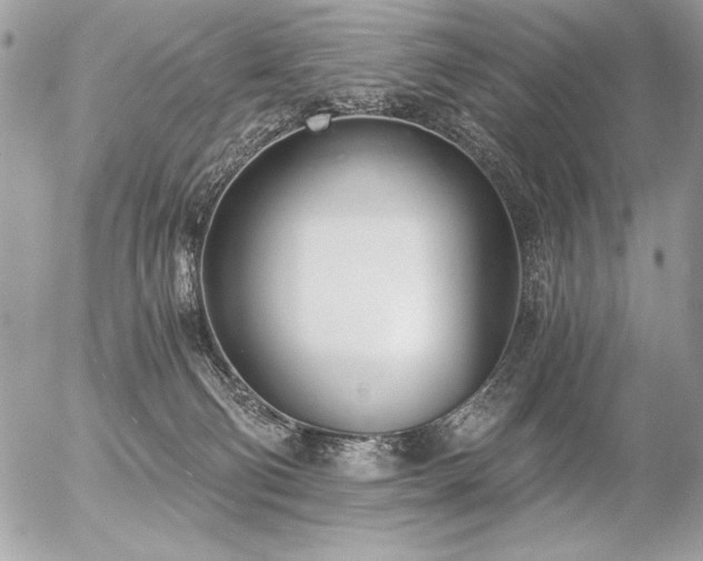 X0000056360130200508261347