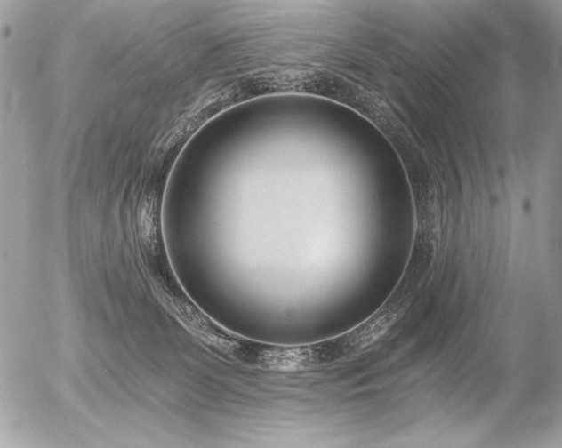 X0000056360131200508261347