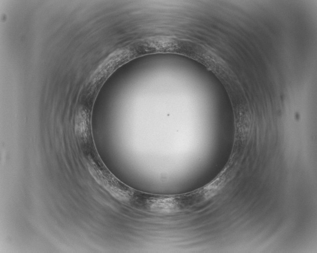 X0000056360132200508261347