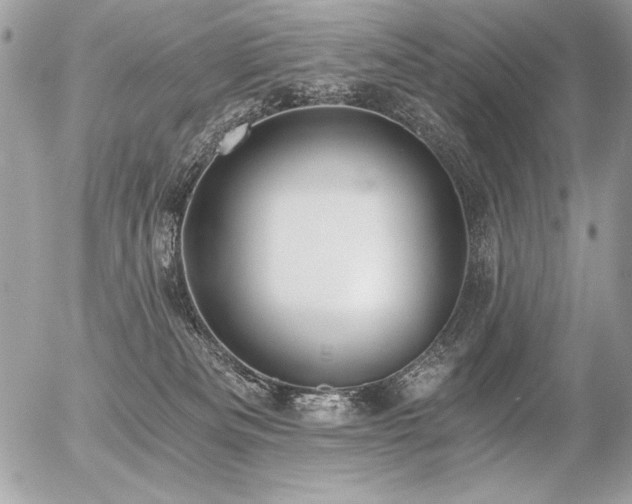 X0000056360133200508261347