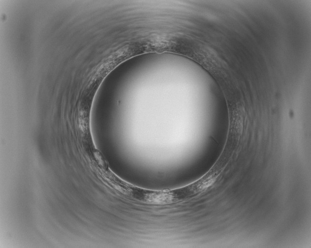 X0000056360135200508261347