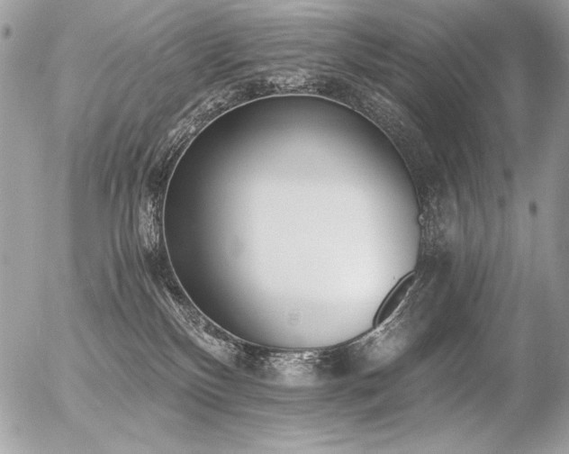 X0000056360136200508261347