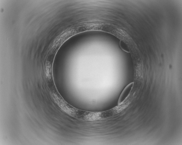 X0000056360138200508261347