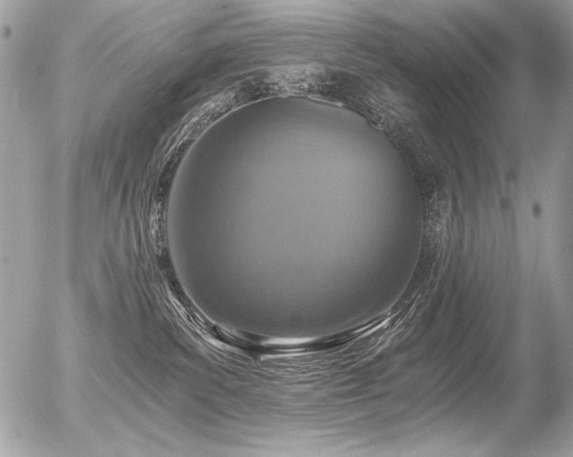 X0000056360139200508261347