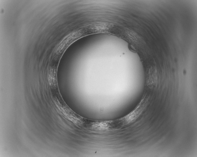 X0000056360140200508261347