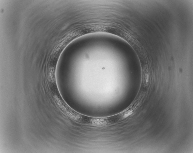 X0000056360141200508261347